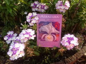 Aeracura - Blossoming