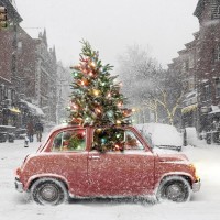 51612-Traveling-Christmas-Tree