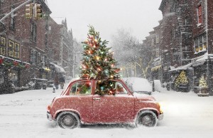 51612-Traveling-Christmas-Tree