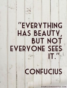 Confucius-Everything-has-beauty